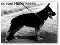 Ex vom H�nenkessel
